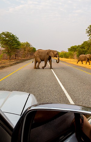 Image_11_Tanzania