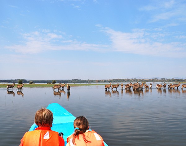 Image_1_kenya