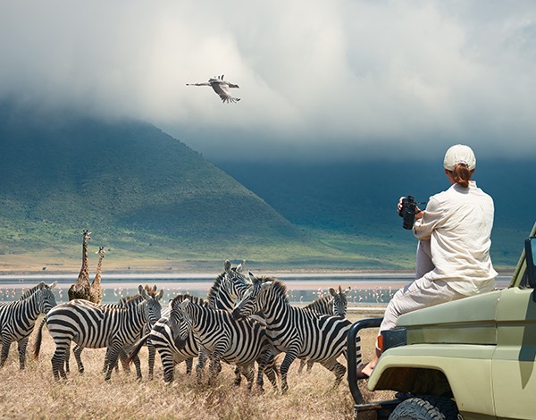 Image_1_Tanzania
