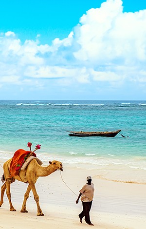 Image_8_kenya
