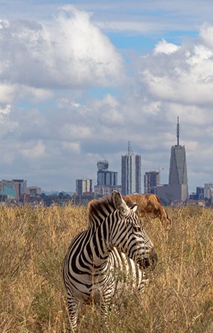 Image_9_kenya