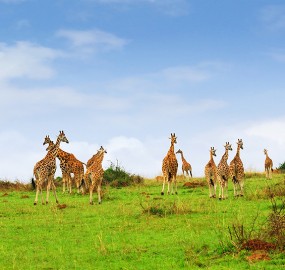 TANZANIA | Safe Travel To Tanzania